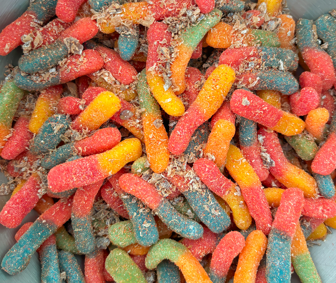 SOUR WORMS - CASE